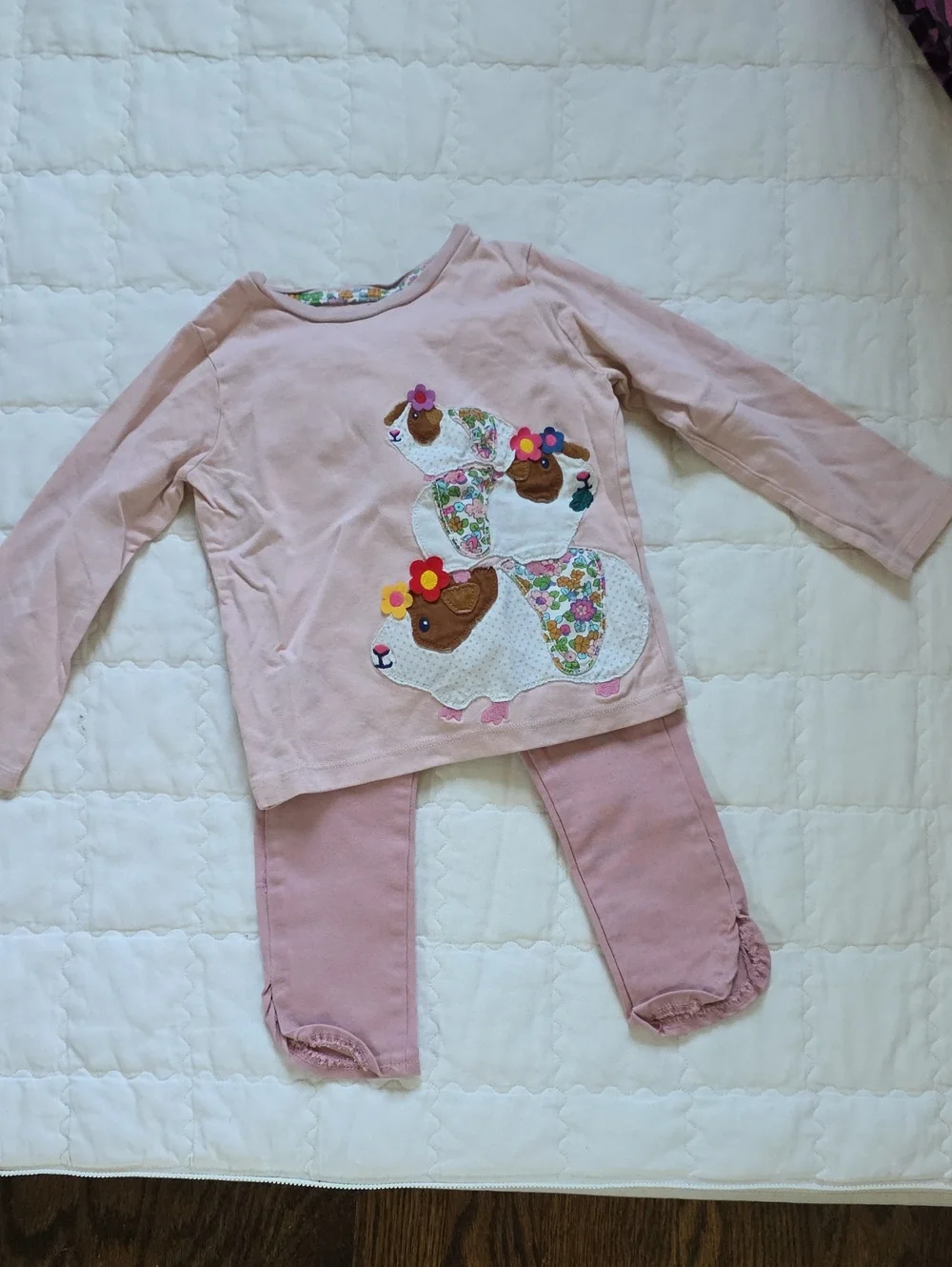 Guinea Pig Suit With Appliqué